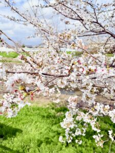 画像の説明文を入力